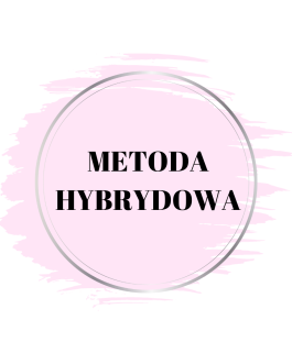 1. METODA HYBRYDOWA