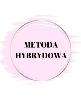 1. METODA HYBRYDOWA
